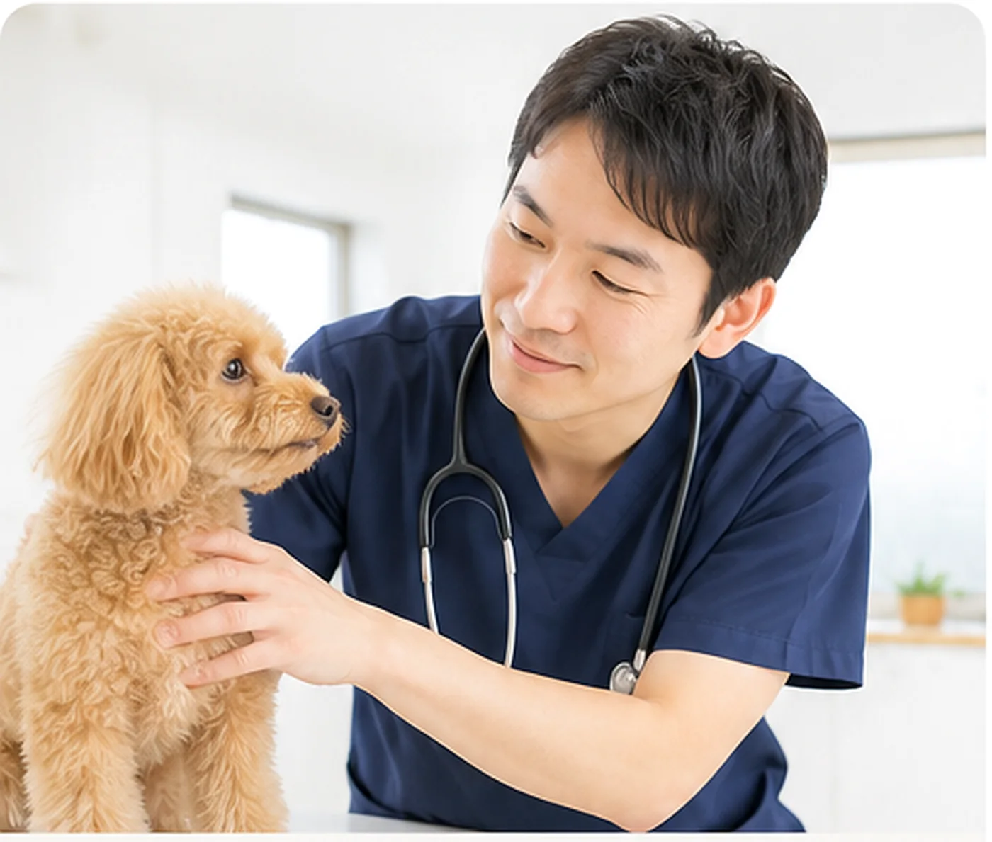 犬を抱く獣医師